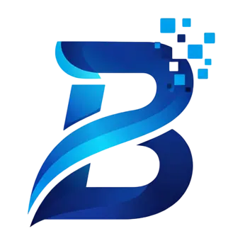 Biranu Consulting - Global IT Talent Solutions